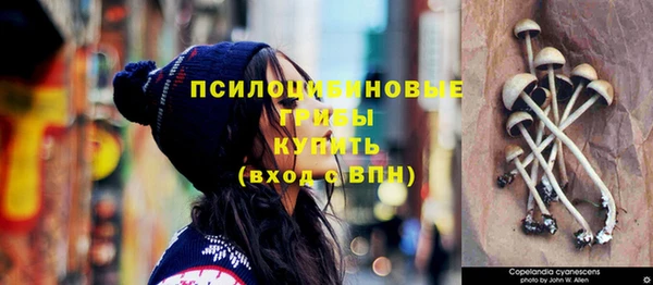 бутират Снежногорск
