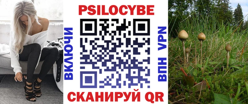 магазин  наркотиков  ОМГ ОМГ ссылки  Псилоцибиновые грибы ЛСД  Гай 